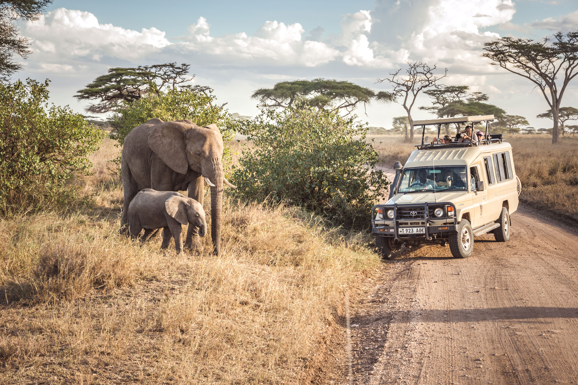 Tanzania Safari expedition and mountain climbing