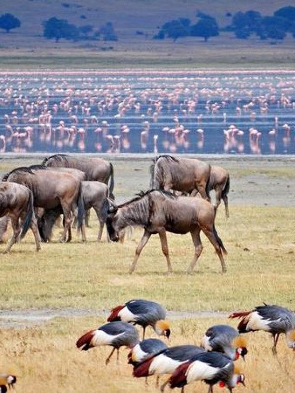 lake-mayara-national-park